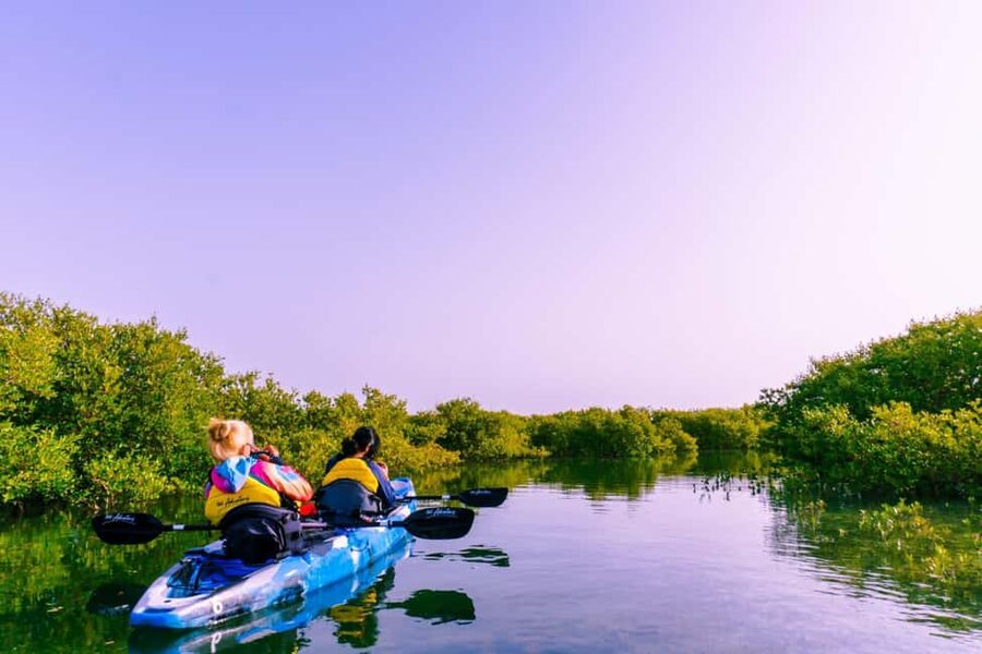 Doha: Private Purple Island Mangroves Kayaking Adventure - Getting started on the Al Thakira water