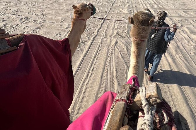 Doha Qatar ATV Quad Bike Buggy Dune Bashing and Camel Ride - The Inland Sea adds the best sense of place
