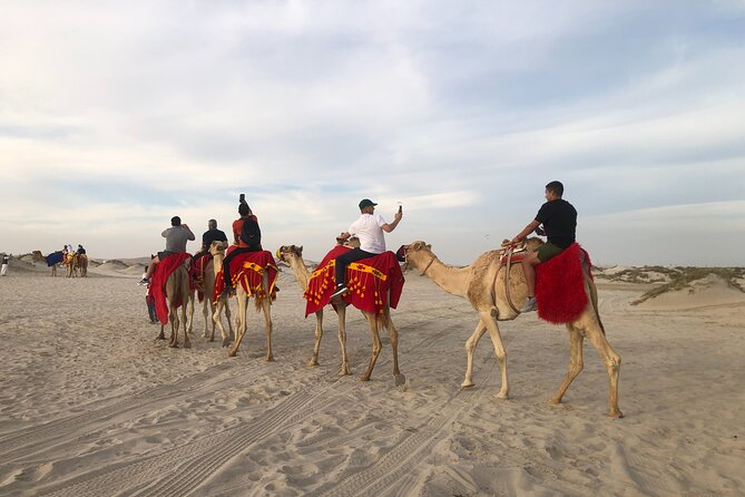 Doha, Qatar: Doha Desert Safari & City - Full Day Private Tour. - Starting Along the Corniche