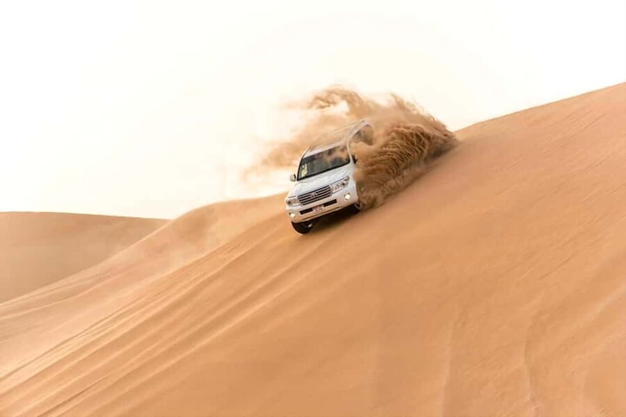 Doha Qatar : sealine adventure Camel Ride sandboard Sunset - Key points to know before booking