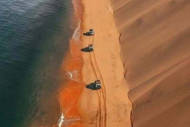 Doha Quad Bike, Dune Bashing, Camel Ride and Inland Sea Tour - Who will enjoy this half-day safari