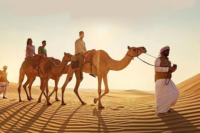 Doha Quad Bike, Dune Bashing, Camel Ride and Island Sea Tour - The Inland Sea is worth the extra drive