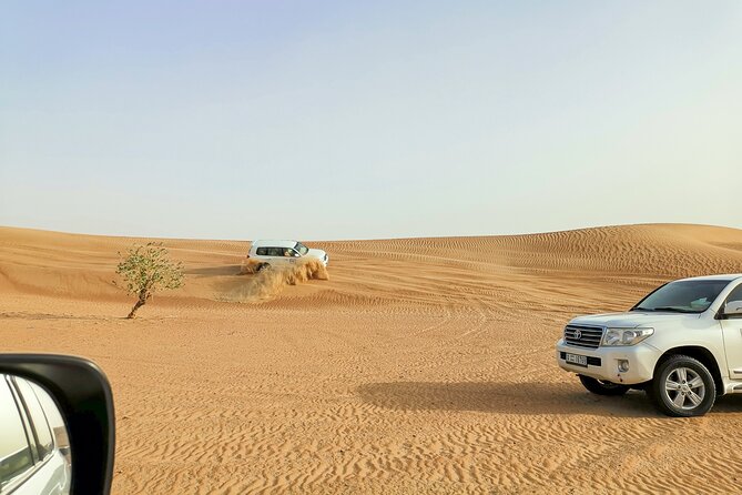 Doha Quad Bike, Dune Bashing, Camel Ride and Island Sea Tour - Why the private format matters at $100