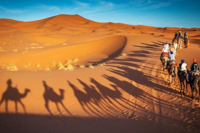 Doha Quad Bike, Dune Bashing, Camel Ride and Island Sea Tour - Who should book this Doha desert tour