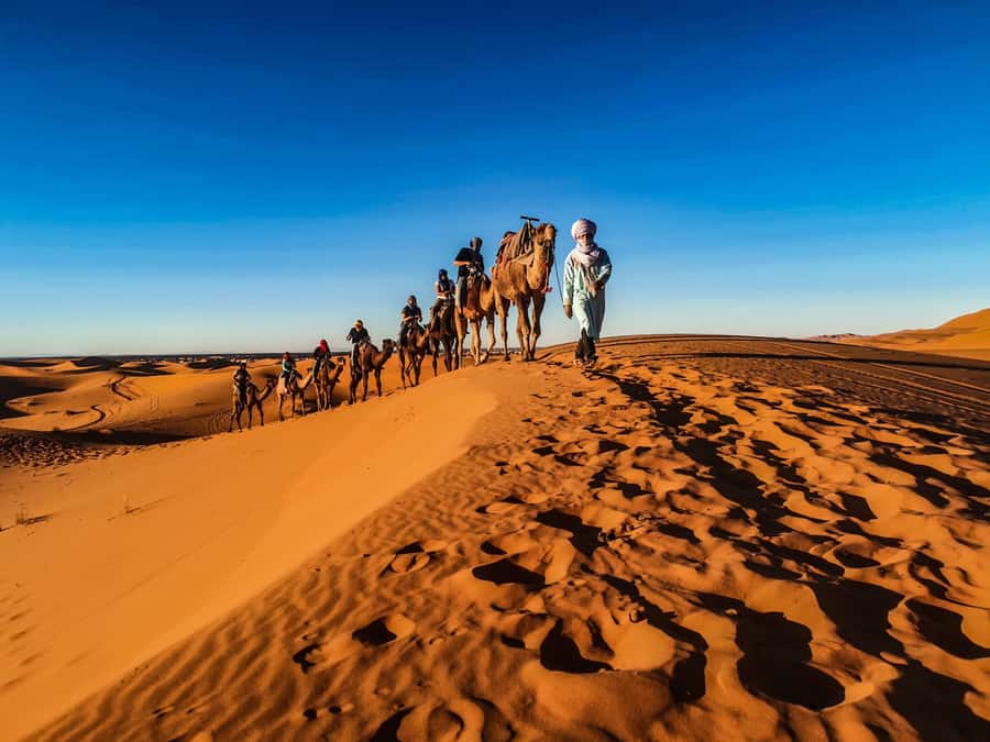 Doha: Quad Bike, Dune Bashing, Camel Ride & Inland Sea Tour - What the $23 price really includes