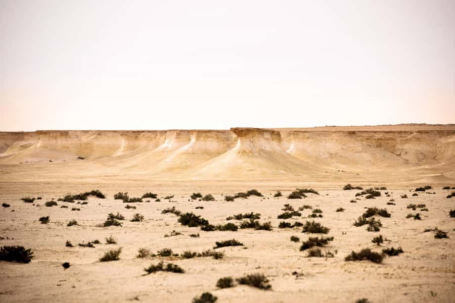 Doha: Richard Serra Sculpture,Mushroom Hill,Camel Race Track - Who Will Enjoy This Tour Most?