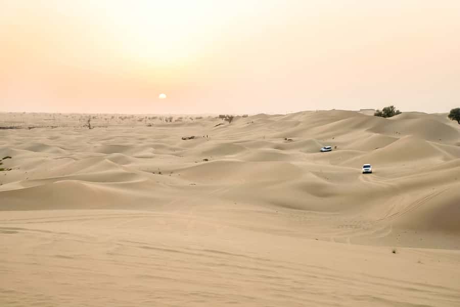 Doha: Safari, ATV, Camels, Sandboarding and Inland Sea Tour - The guide can make or break the outing