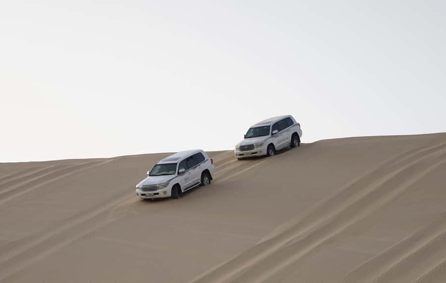 Doha: Safari, ATV, Camels, Sandboarding and Inland Sea Tour - Timing, comfort, and who should book