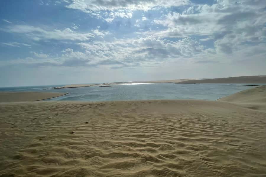 Doha Safari: ATV Ride, Dune Bashing, & Sandboarding Fun - Should you book the Doha desert safari?