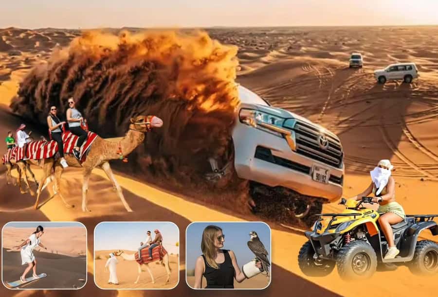 Doha: Safari, Camel Ride, Sand boarding and Inland Sea Tour - Key points at a glance