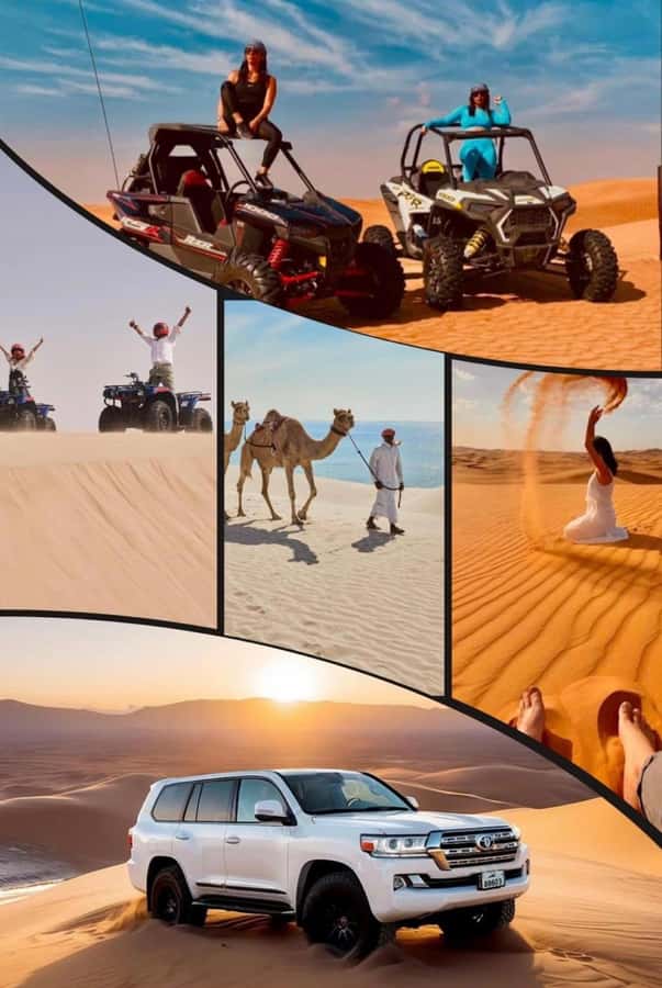 Doha: Safari, Camel Ride, Sand boarding and Inland Sea Tour - A quieter camel ride and Bedouin connections
