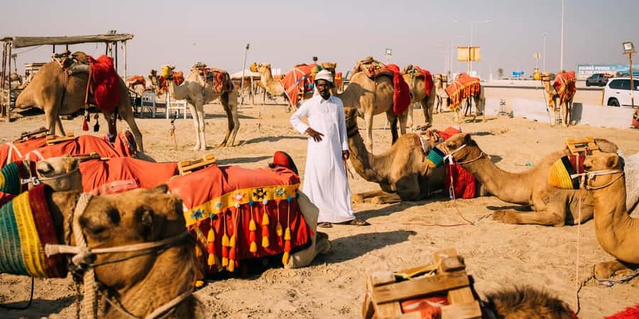 Doha: Safari, Camel Ride, Sandboarding and Inland Sea Tour - What the $13 price really buys you