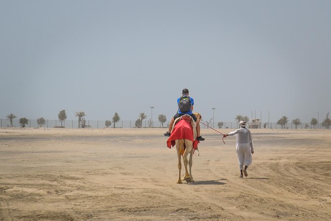 Doha: Safari, Dune bashing, Camel Ride, Sandboarding & Inland Sea - Sandboarding on the slopes
