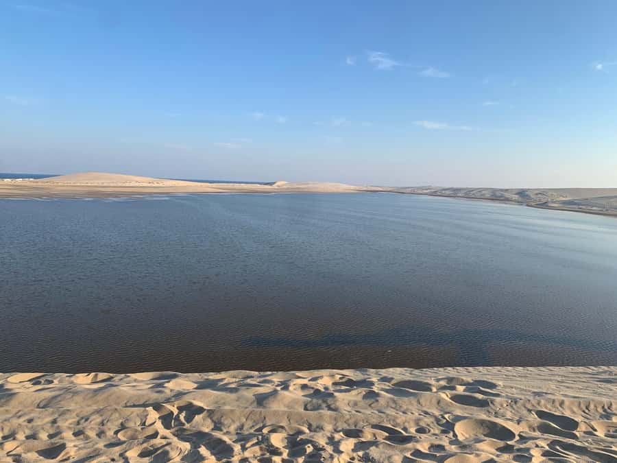 Doha: Safari | Inland Sea Tour | Camel Ride | Sandboarding - From Doha to Sealine Beach in an Hour