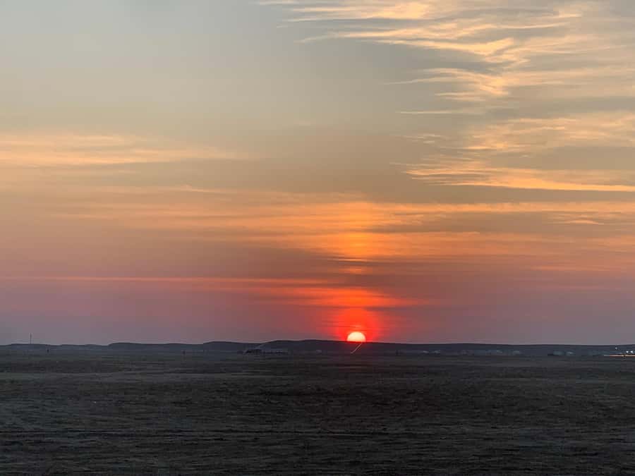 Doha: Safari | Inland Sea Tour | Camel Ride | Sandboarding - Is $60 a Fair Price?