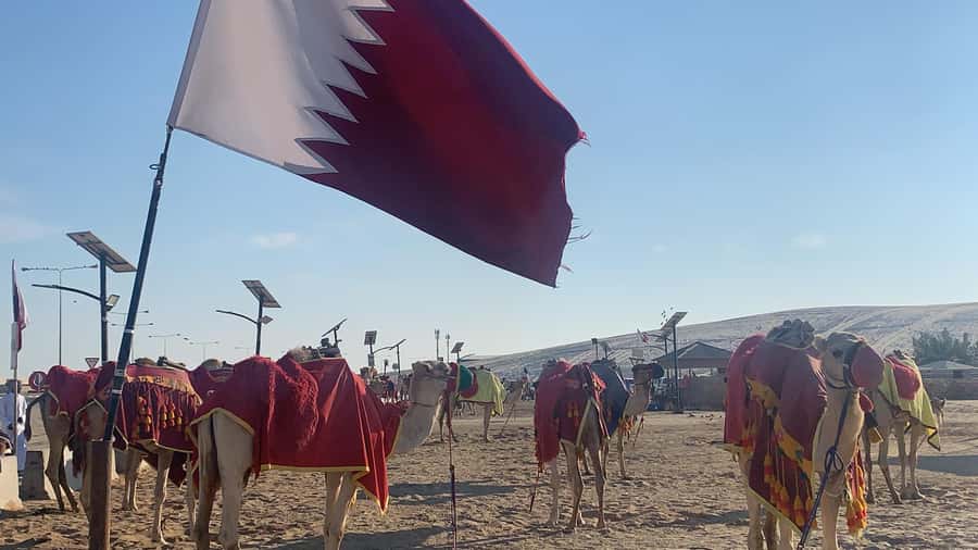 Doha: Safari | Inland Sea Tour | Camel Ride | Sandboarding - Sealine Beach: Camels Before the Fast Ride