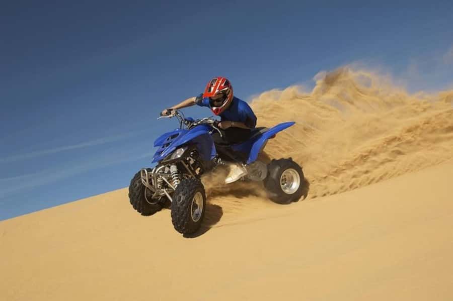 Doha Safari Quadbike, CamelRide, Sandboarding & Inland Sea - Camel stop: a short taste of desert tradition