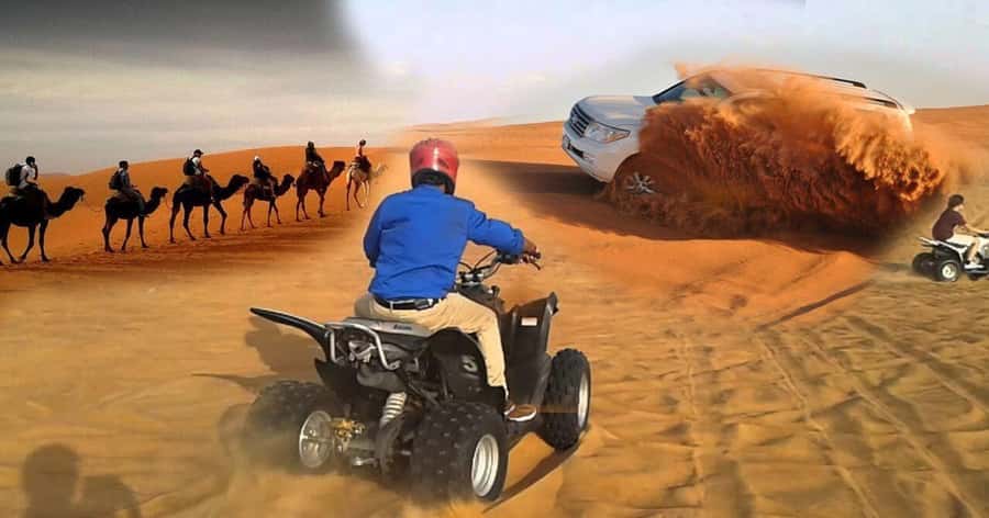 Doha Safari Quadbike, CamelRide, Sandboarding & Inland Sea - Dune bashing on Qatar’s golden sand