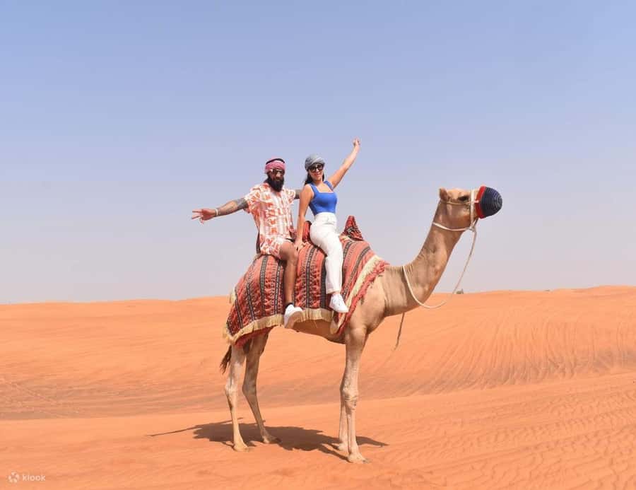 Doha Safari Quadbike, CamelRide, Sandboarding & Inland Sea - Sandboarding brings a simple, low-cost thrill