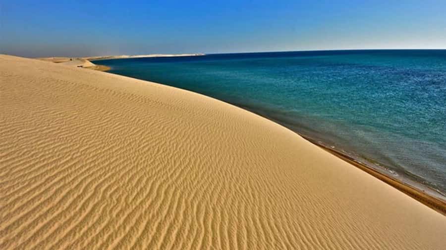 Doha Safari Quadbike, CamelRide, Sandboarding & Inland Sea - Is $21 per person good value?