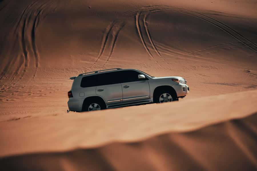 Doha:Safari Tour with Lunch/Dinner in Desert by the Sea Side - Seven hours from Doha to Qatar’s open desert
