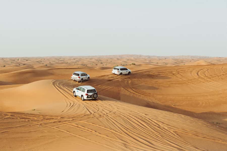 Doha:Safari Tour with Lunch/Dinner in Desert by the Sea Side - What $265 per person really buys
