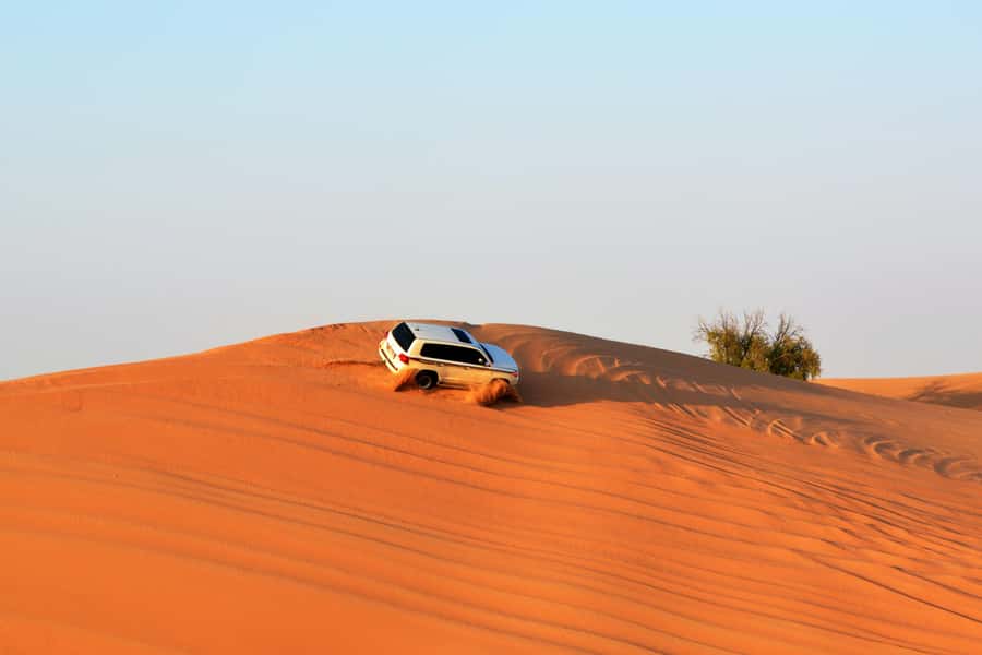Doha:Safari Tour with Lunch/Dinner in Desert by the Sea Side - Guides who shape the day