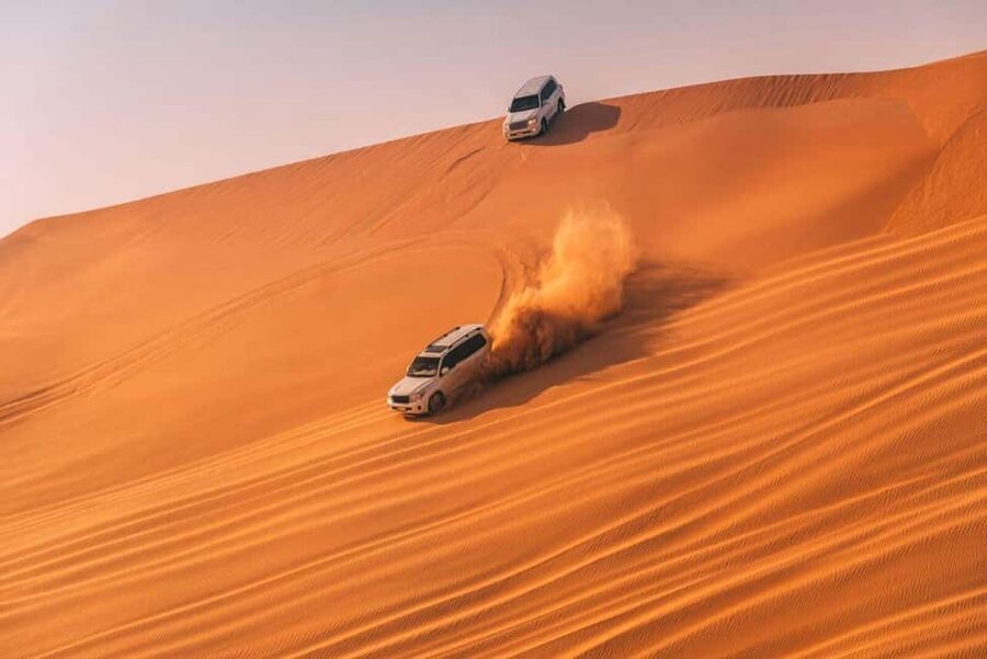 Doha Safari with Camel Ride, Inland Sea & Hotel Transfer - Dune bashing across Qatar’s golden sand