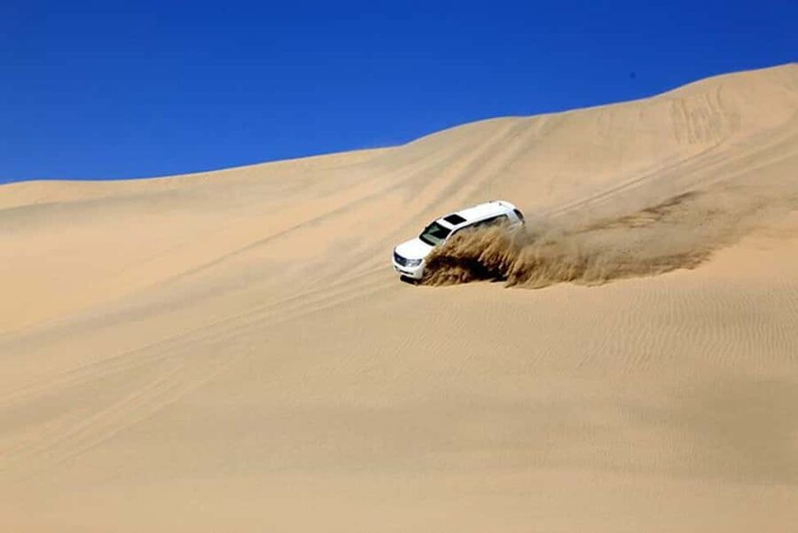 Doha Safari with Camel Ride, Inland Sea & Hotel Transfer - What the $29 price really covers