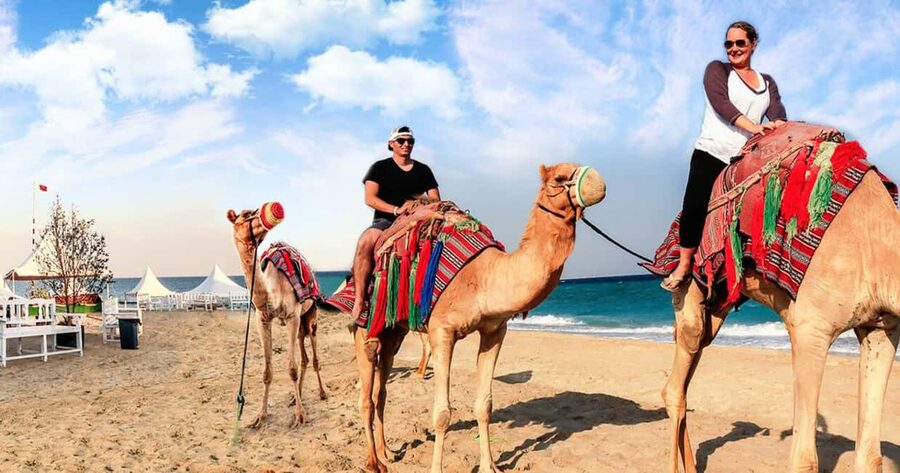 Doha Safari with Camel Ride, Inland Sea & Hotel Transfer - Who will enjoy this safari most