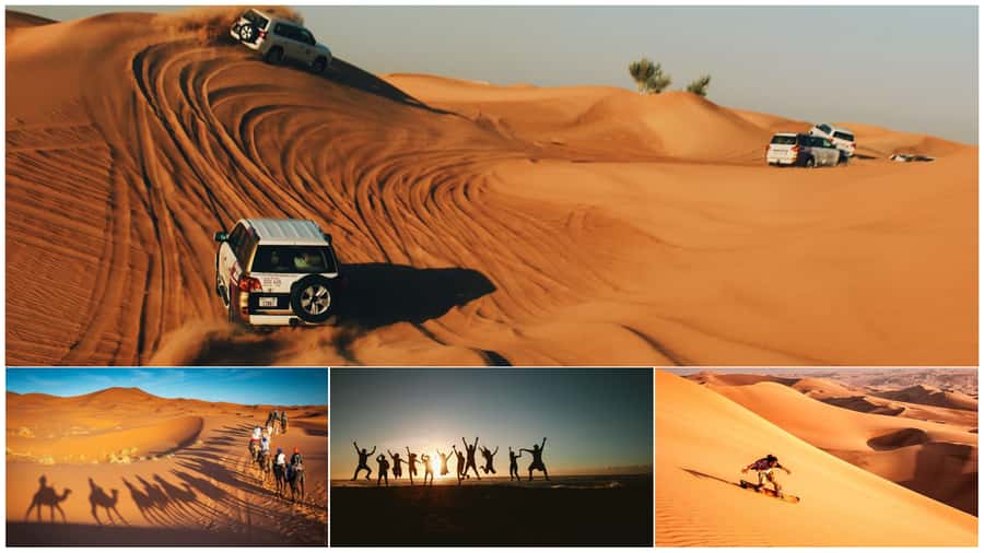 Doha: Shared Desert Safari, Sandboarding, Camel Ride - Key points to know before booking