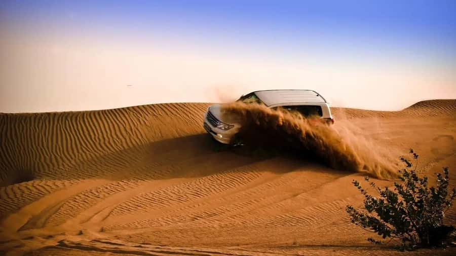 Doha: Shared Desert Safari, Sandboarding, Camel Ride - Why this short trip works from Doha