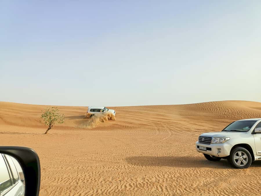 Doha: Shared Desert Safari, Sandboarding, Camel Ride - The drive into Qatar’s open desert