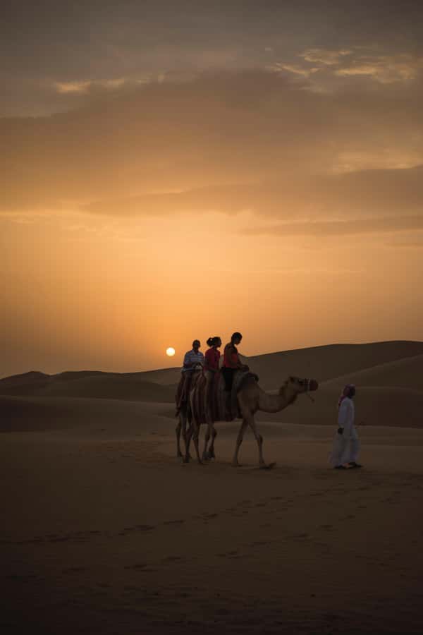 Doha: Shared Desert Safari, Sandboarding, Camel Ride - Camel rides, falcons, and optional extras