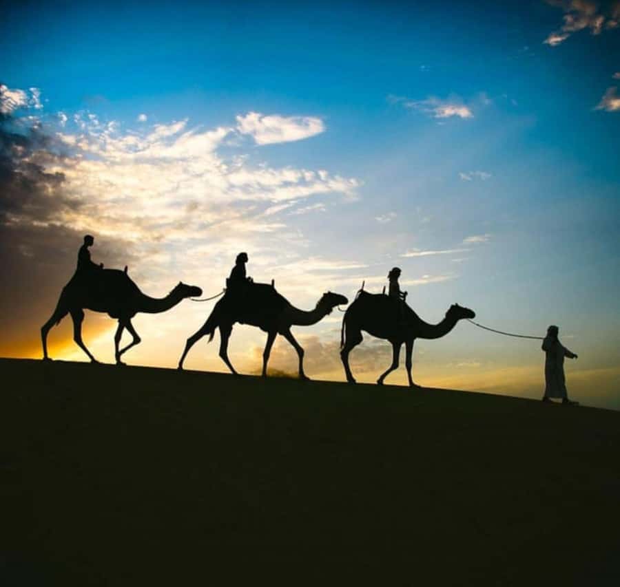 Doha: Stargazing Desert Safari w/ Dune Bashing & Camel Ride - Five things worth knowing before you go