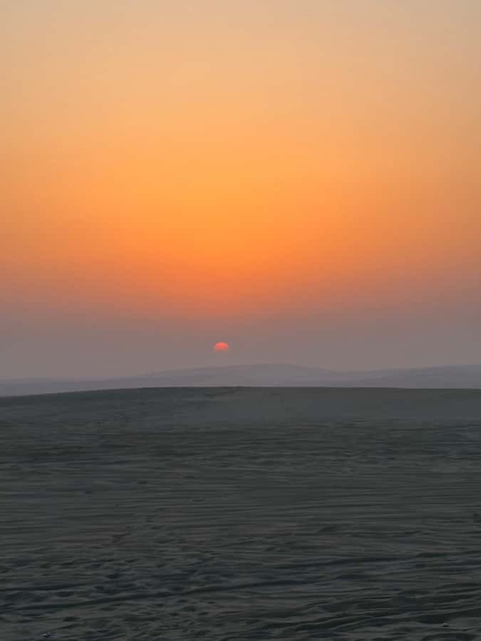 Doha: Stargazing Desert Safari w/ Dune Bashing & Camel Ride - Who will enjoy this trip most