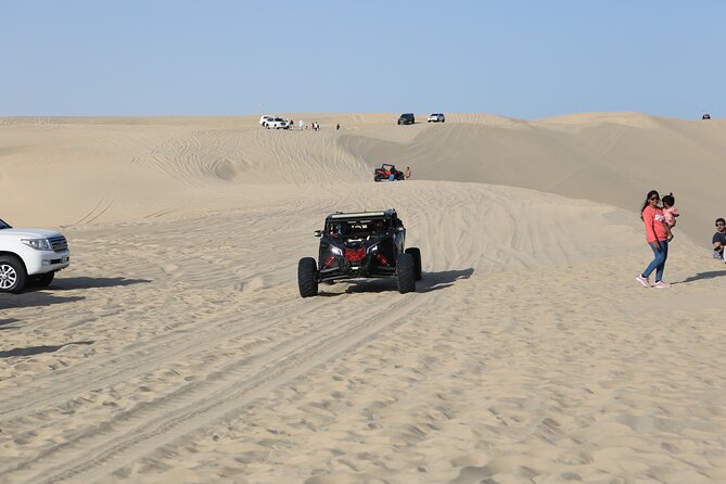 Doha; Sunrise Desert Tour and camel safari 4hrs - Pickup, private groups, and the ride south