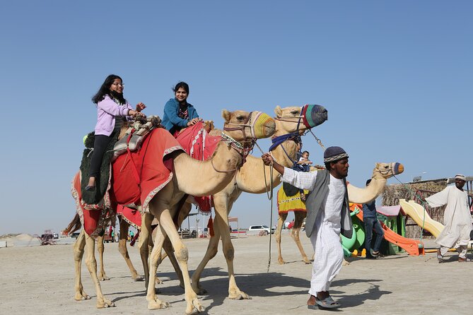 Doha; Sunrise Desert Tour and camel safari 4hrs - Photography, WiFi, and the value of a private tour