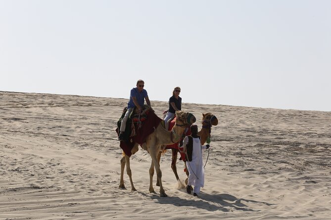 Doha; Sunrise Desert Tour and camel safari 4hrs - Booking details and cancellation points