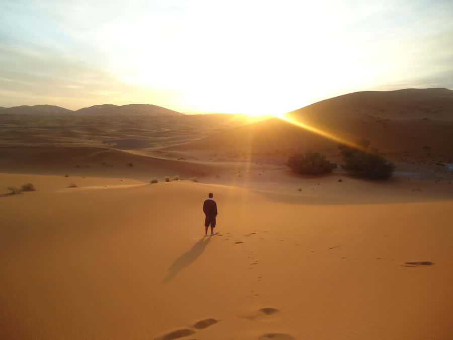 Doha:Sunrise or Sunset Desert Safari Tour with Sand Boarding - Dune bashing with a professional driver