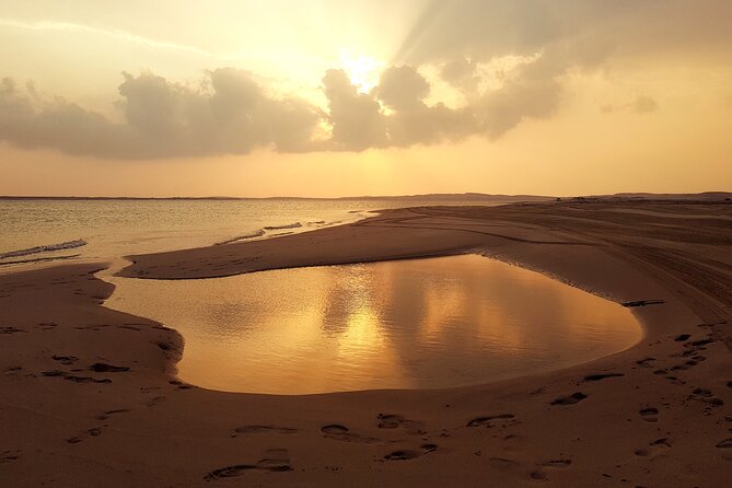 Doha: Sunrise /Sunset Desert Safari with Sand Boarding,Camel ride - Leaving Doha before the heat arrives