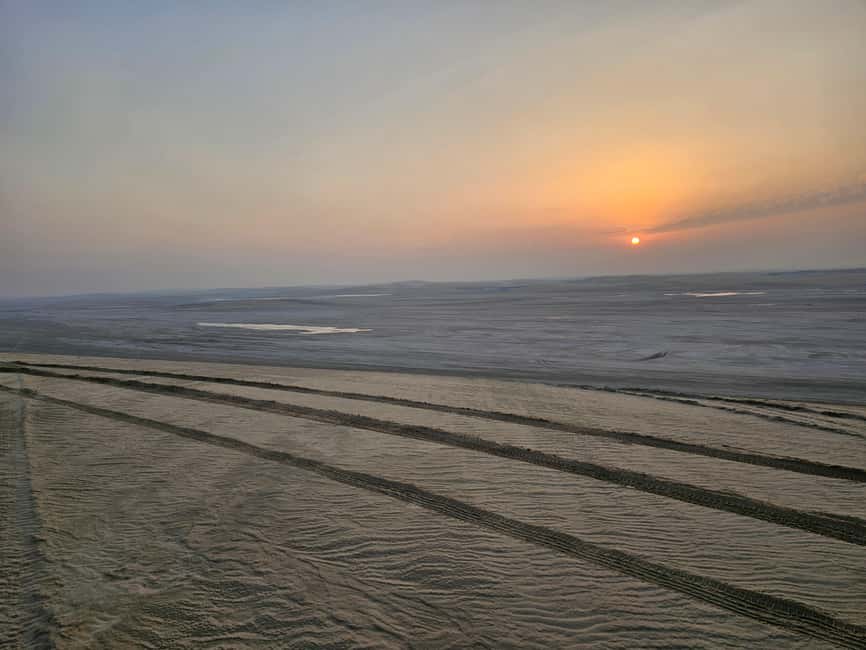 Doha Sunrise/Sunset or Night Stargazing desert safari. - The essential details at a glance