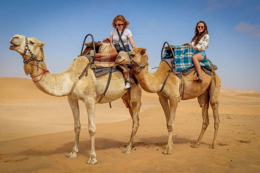 Doha: Sunset Desert Safari, ATV, Camel Ride and Sandboarding - Khor Al Adaid, where the desert meets the sea