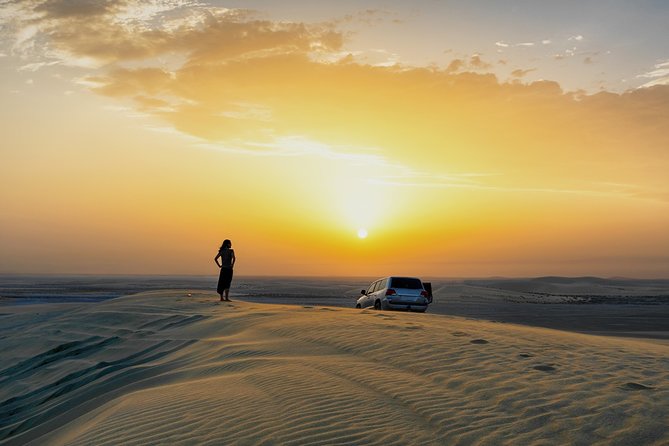 Doha: Sunset Desert Safari, Camels, Sandboarding & Inland Sea - Sandboarding for a quick burst of fun