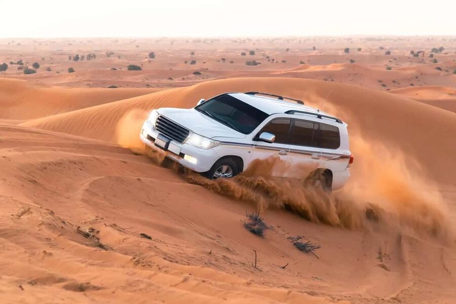 Doha Sunset or Sunrise Desert Safari, Camel Ride, Inland Sea - Meeting camels and falcons before the main ride
