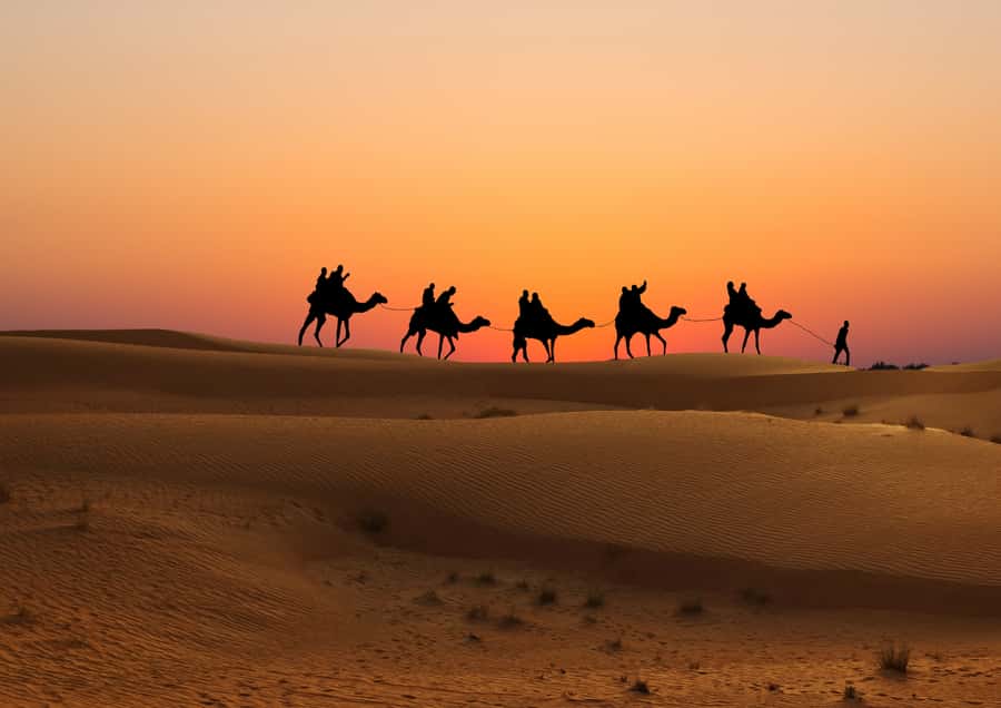Doha: Sunset Safari, Dune Bashing, Sandboarding & Camel Ride - The Inland Sea and the sunset stop