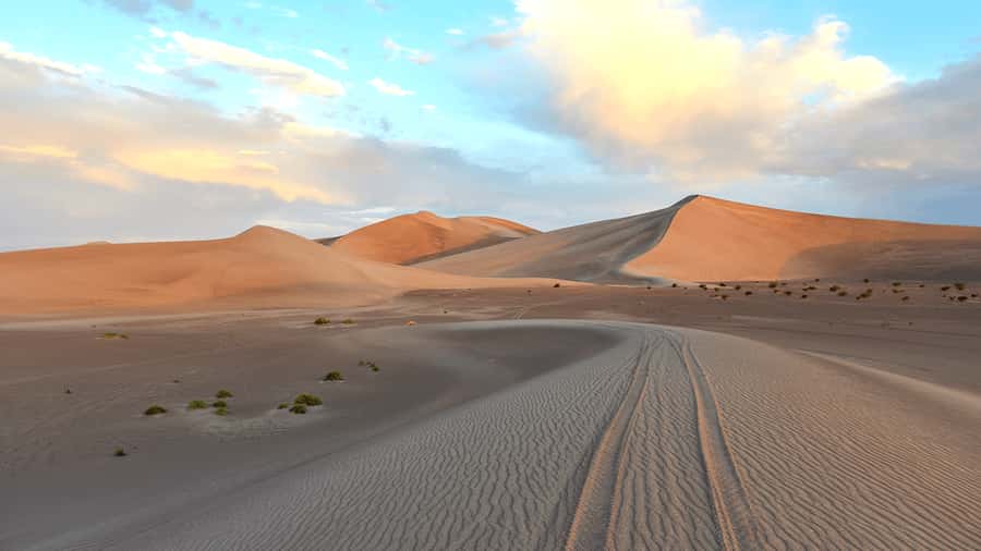 Doha: Sunset Safari, Dune Bashing, Sandboarding & Camel Ride - Practical limits and comfort tips