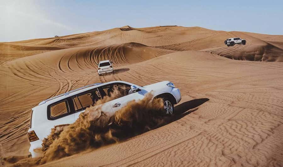 Doha: Thrilling 4x4 Desert Safari, Inland Sea-All Activities - Meeting camels before the fast part