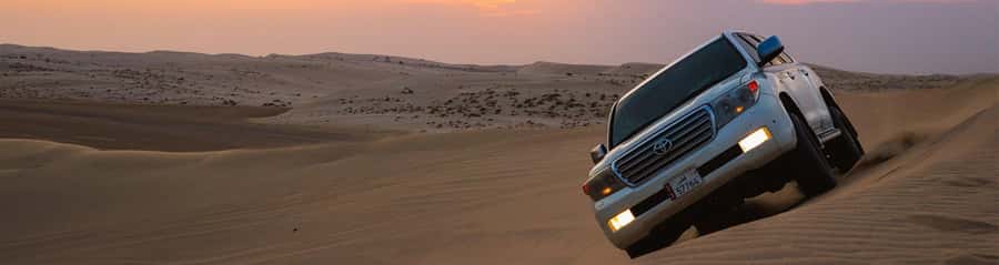 Doha: Thrilling 4x4 Desert Safari, Inland Sea-All Activities - Sandboarding and the Sheraton Dune