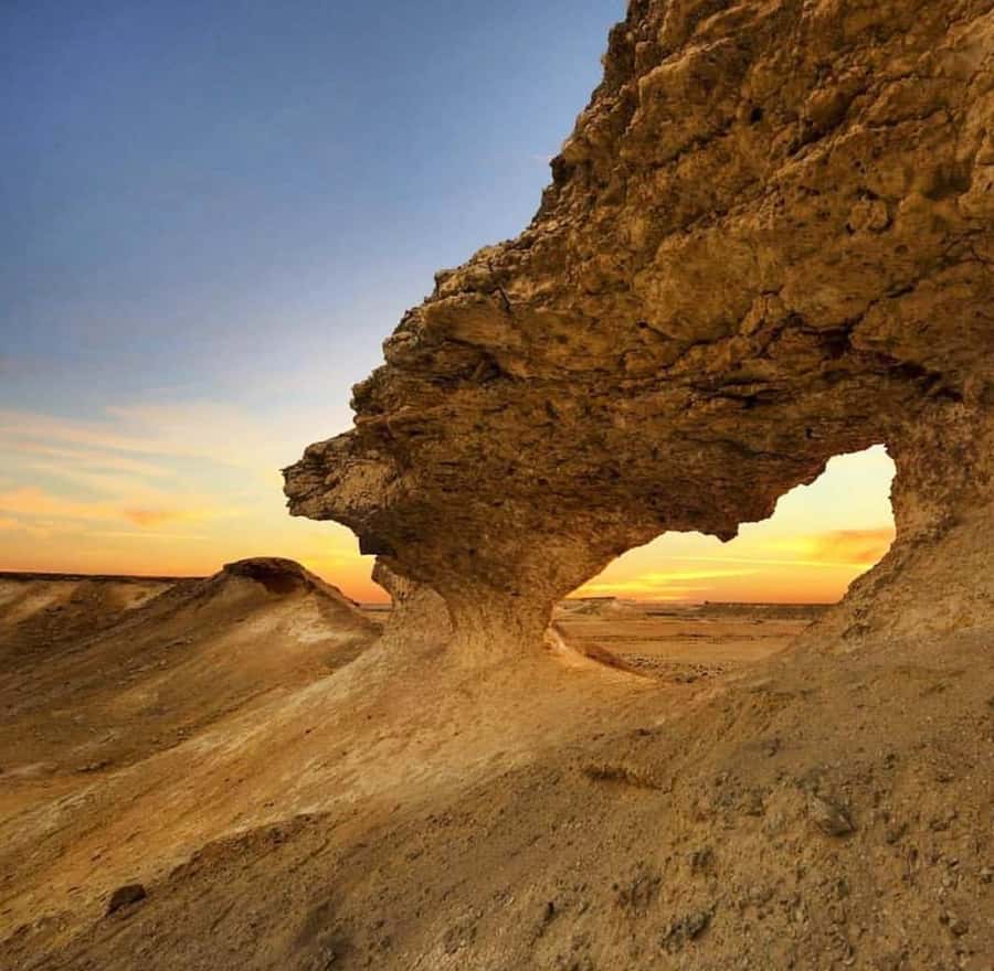 Doha: West Coast Qatar Tour, Sculptures, Camel Racing track - Key Points Before You Book